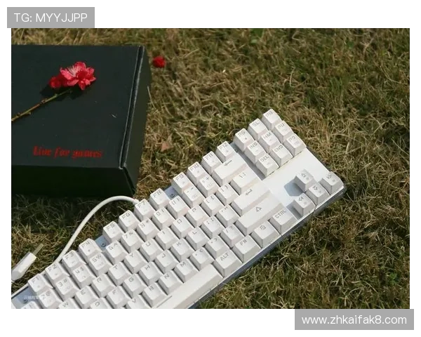 如何选择适合自己的K8凯发电竞游戏项目