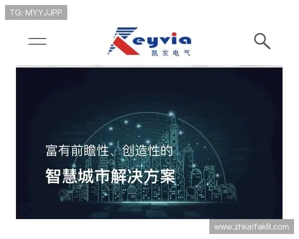 凯发旗舰网站的安全性和稳定性分析全面评测